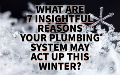 WHAT ARE 7 INSIGHTFUL REASONS YOUR PLUMBING SYSTEM MAY ACT UP THIS WINTER?    